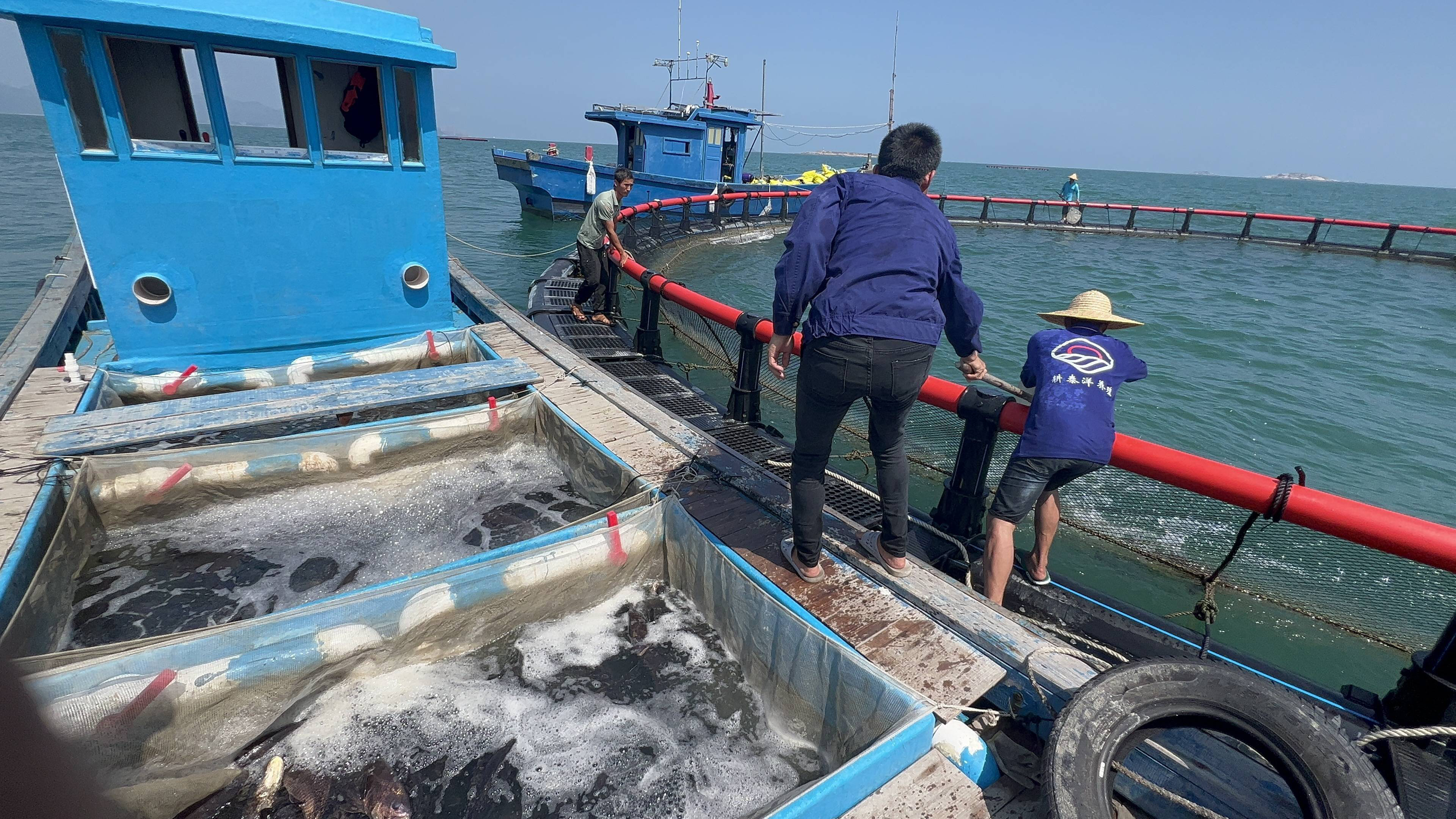 73d098d5c94f23b477cf4df4ad2194b4