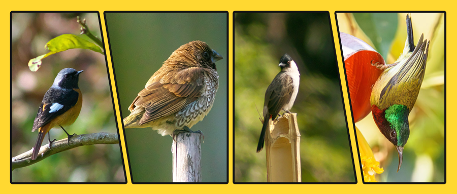 微信图片_2025-09-29_142626_915