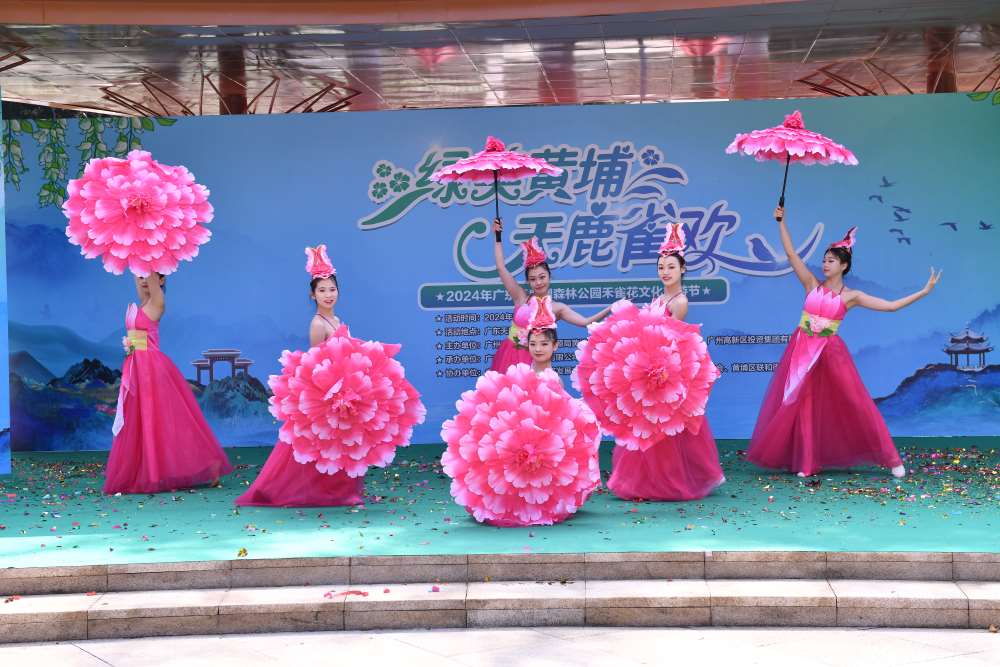 2024年禾雀花节2