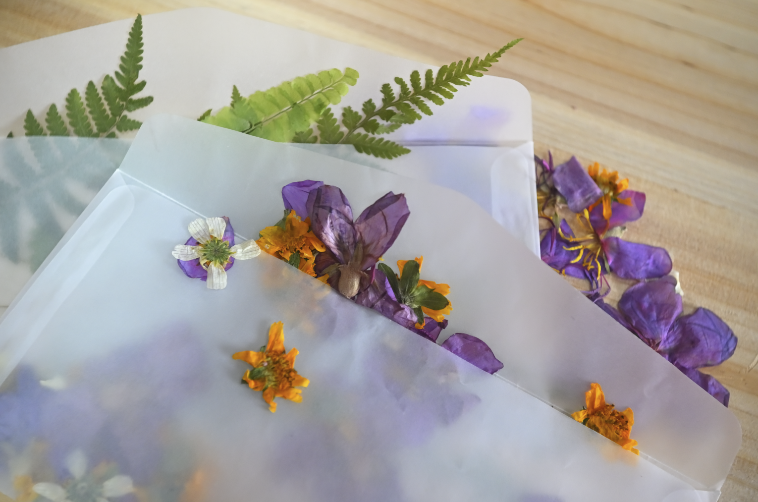 c59e7ca09da1428173c192ec644a173