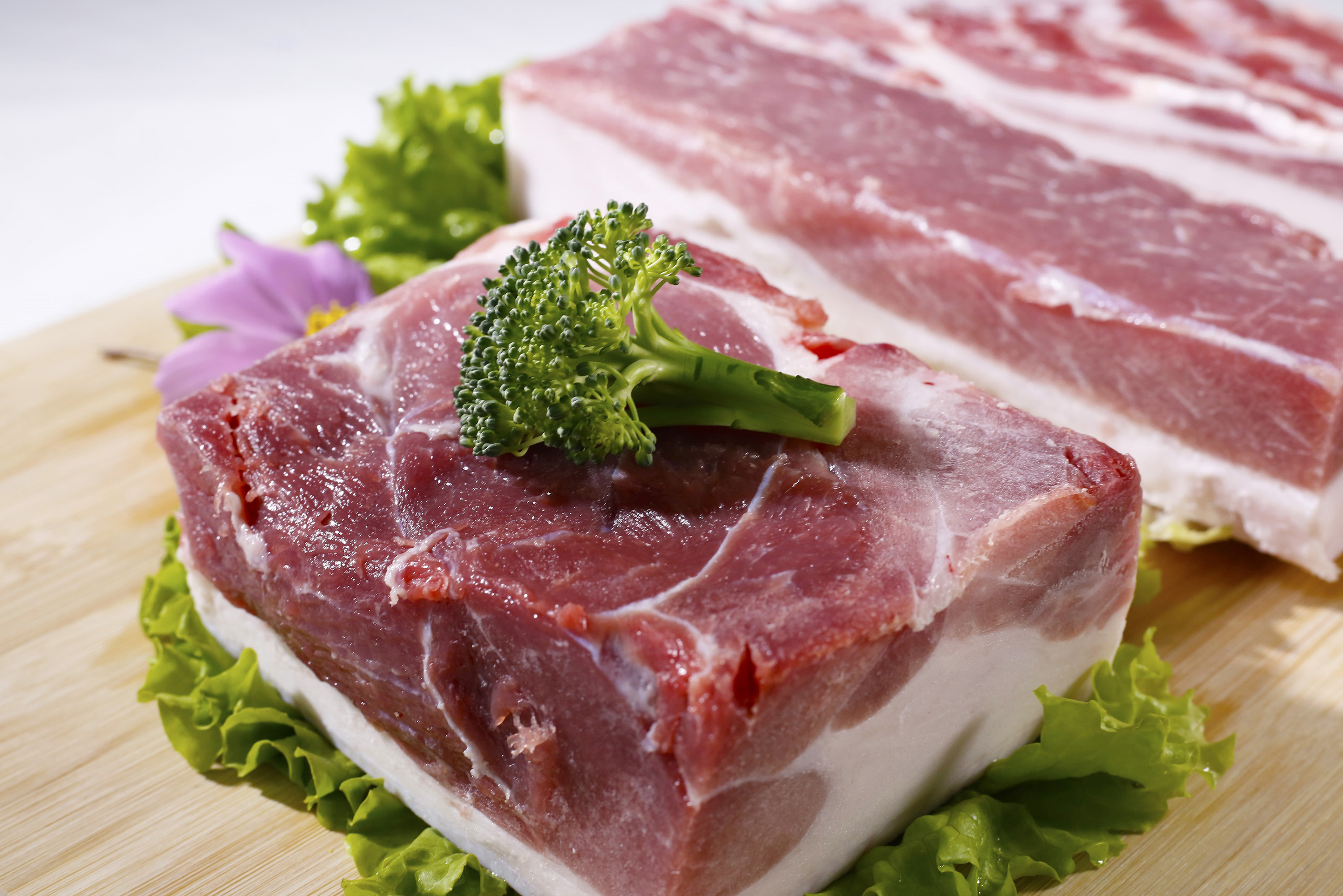 Nipic_32620414_20250329012047460