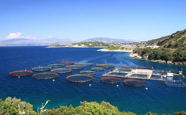 渔业渔村渔港服务